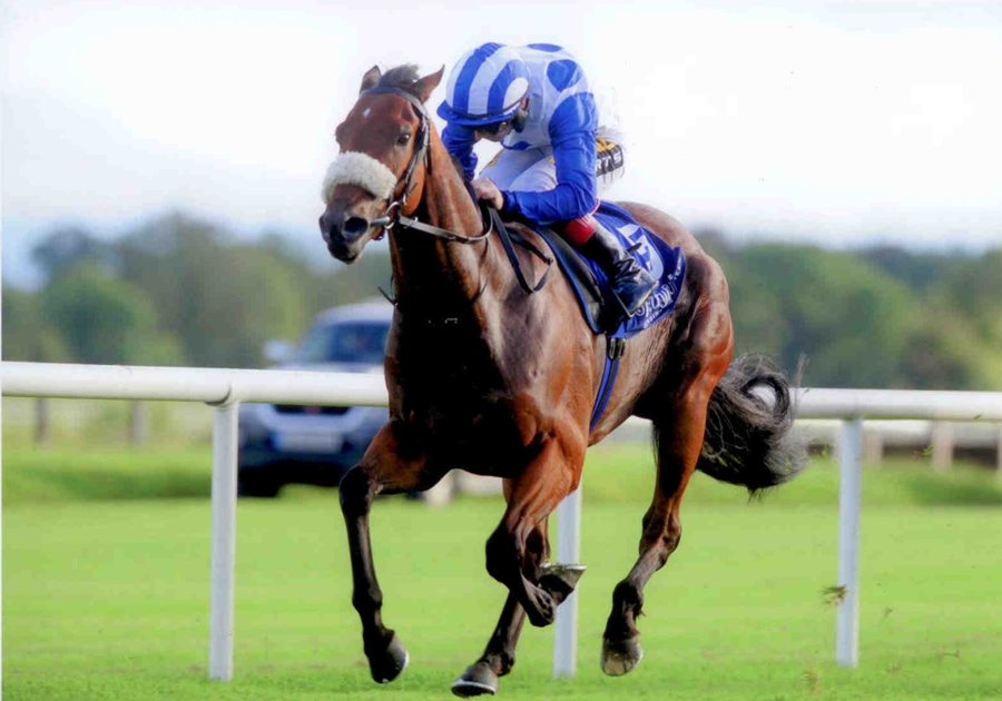 Azurite Fairyhouse 30th Sept